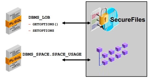 Oracle DB 數(shù)據(jù)安全管理實踐與火龍果軟件工程應用
